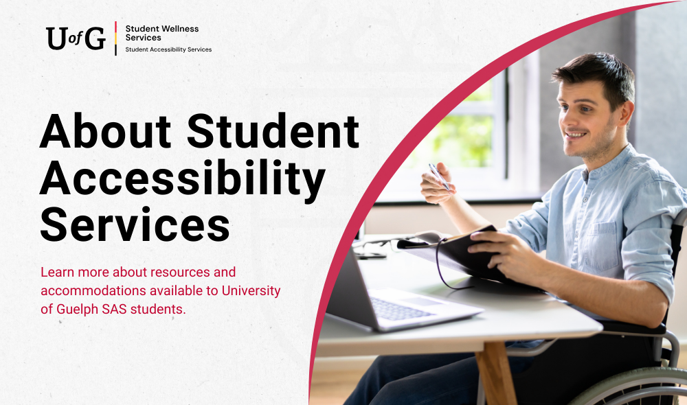 About Accessibility Services
