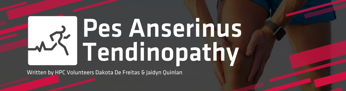 What is Pes Anserinus Tendinopathy Guelph Physiotherapy