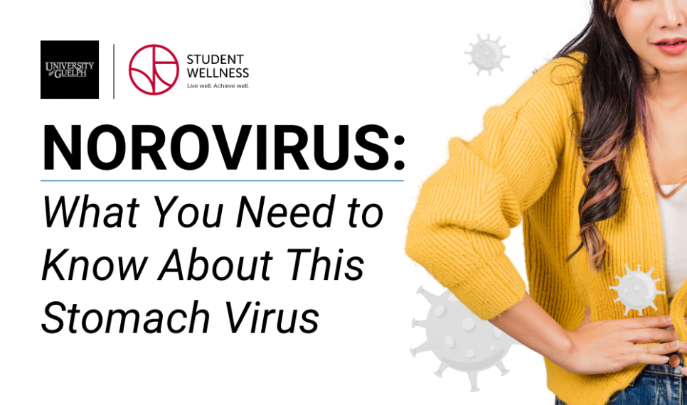 Norovirus: What You Need to Know About This Stomach Virus